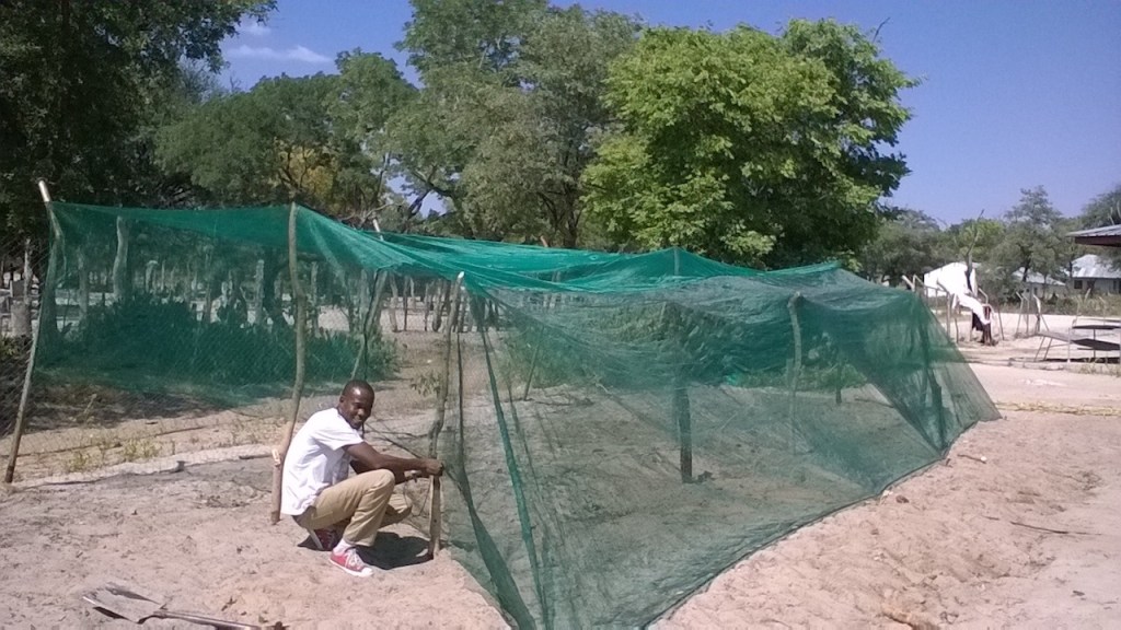 It’s the small things…I&nbsp;guess?