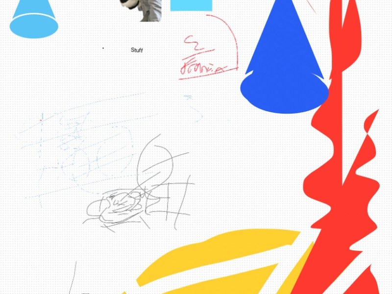 Encounter with a&nbsp;Cardinal